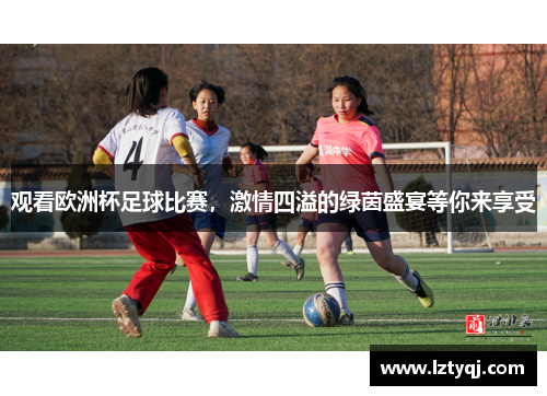 观看欧洲杯足球比赛，激情四溢的绿茵盛宴等你来享受